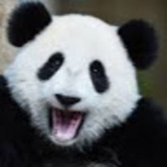 Meet your Posher, Feliza - Picture 1 of 1